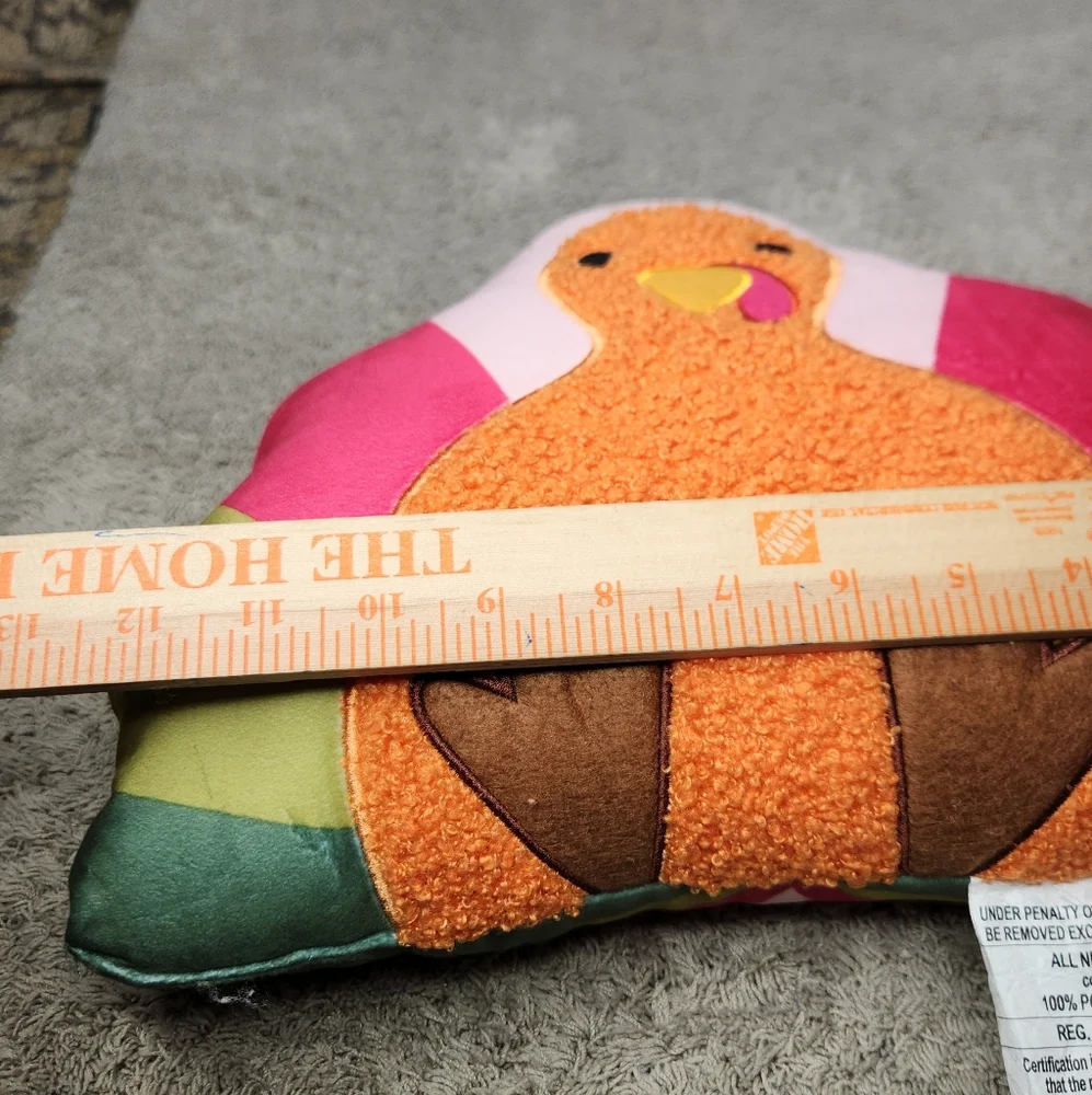 TURKEY Decorative Pillow Target Bullseye Playground Thanksgiving